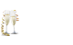 Dğn